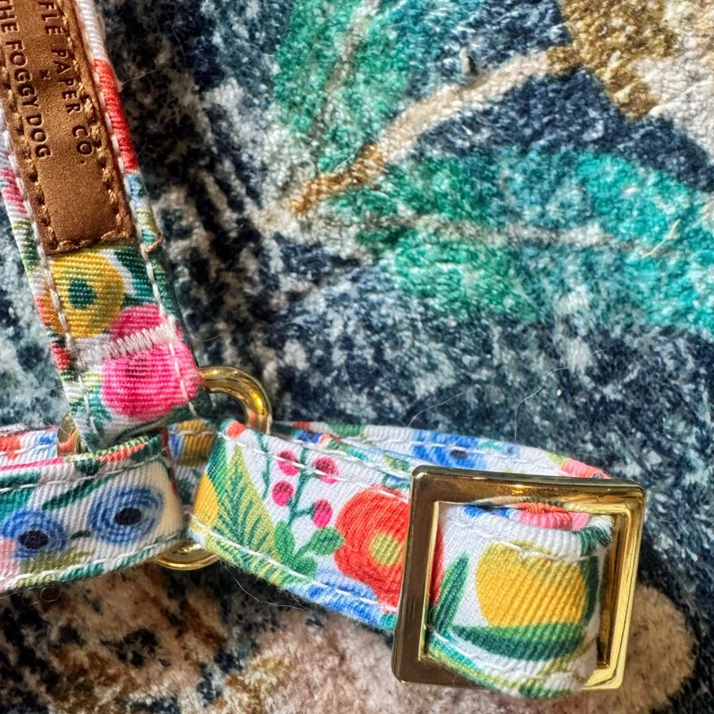 The Foggy Dog x Rifle Paper Co Floral Dog Harness with Gold Buckles XS